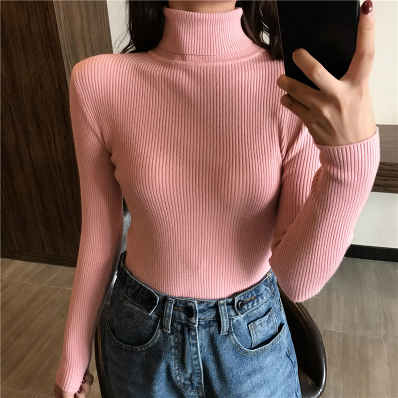 Women's turtleneck sweater