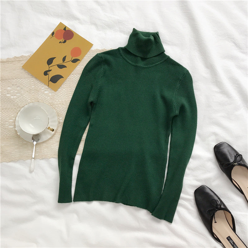 Women's turtleneck sweater