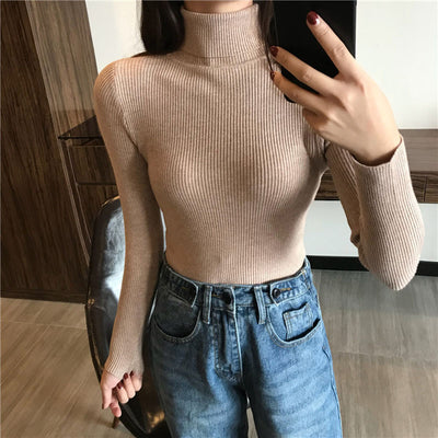 Women's turtleneck sweater